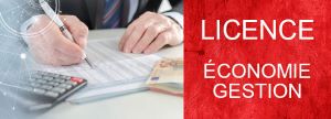 Licence eco gestion